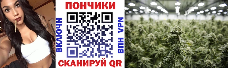Названия наркотиков Медвежьегорск Героин  МЕФ  Alpha PVP  ГАШИШ  Cocaine 