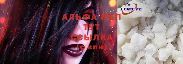 стафф Лабытнанги