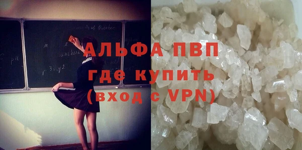стафф Лабытнанги