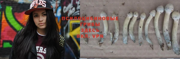стафф Лабытнанги