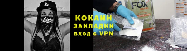 стаф Ладушкин
