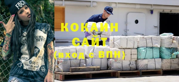 стаф Ладушкин