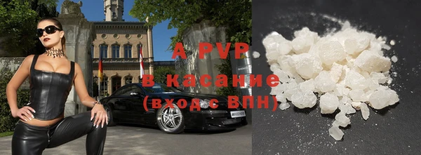 стаф Ладушкин