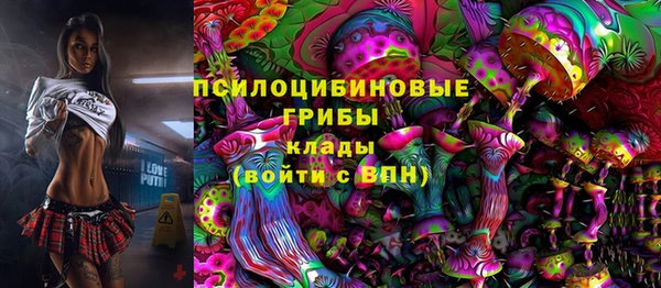 стаф Ладушкин
