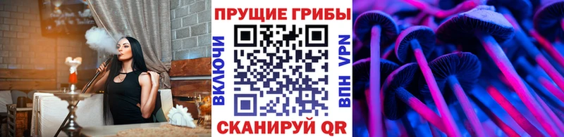 Псилоцибиновые грибы мицелий  где купить   Медвежьегорск 